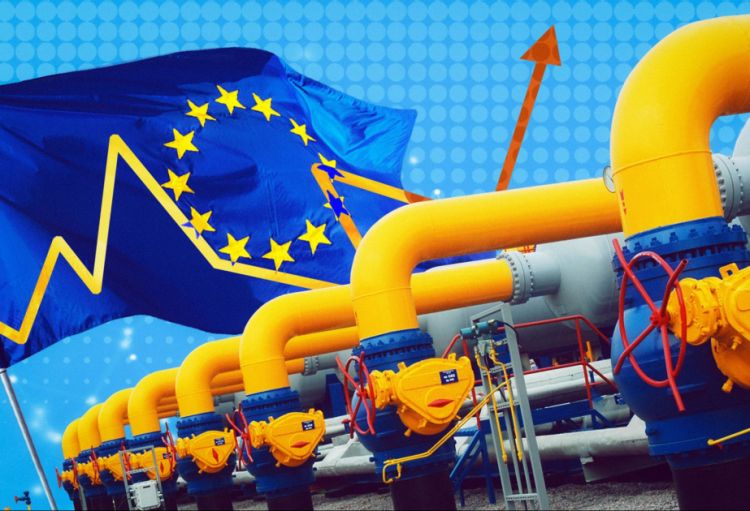 Dünya bazarında qazın qiymətində ucuzlaşma müşahidə olunur