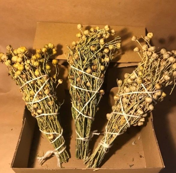 AZAL Rusiyaya üzərlik bitkisi aparan vətəndaşlara xəbərdarlıq edib