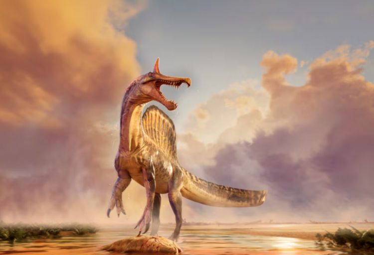 Niger ərazisində dinozavrların ən böyüyü olan spinozavrın qalıqları tapılıb