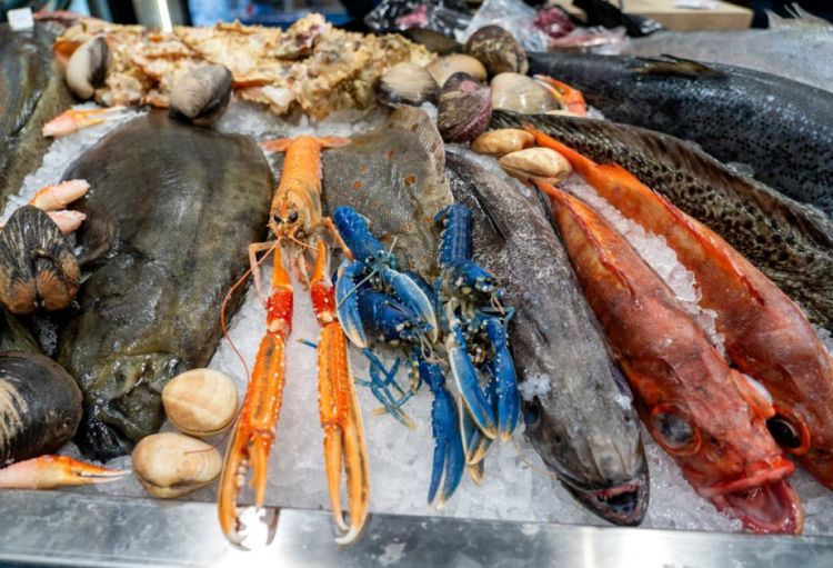 Norveçin Rusiyadan idxalı son illərdə ilk dəfə olaraq artıb