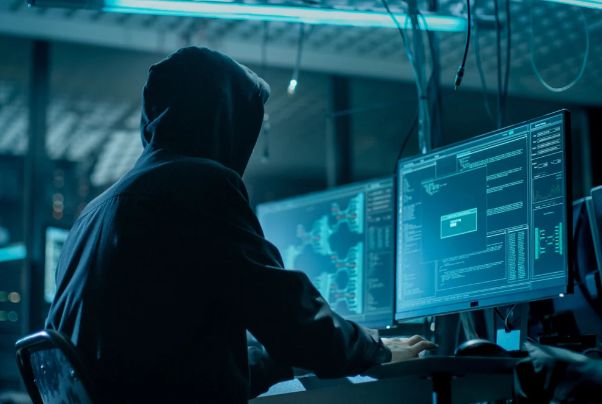 Deputat: "Kibercinayətkarlıqla mübarizə normaları və sanksiyalar sərtləşdirilməlidir"