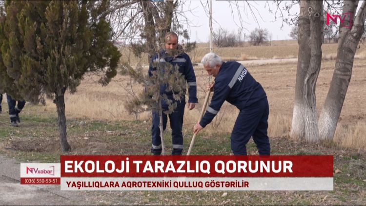 “Naxçıvan Avtomobil Yollarının Yaşıllaşdırılması” Məhdud Məsuliyyətli Cəmiyyəti təsis olunub<font color=red> - VİDEO</font>