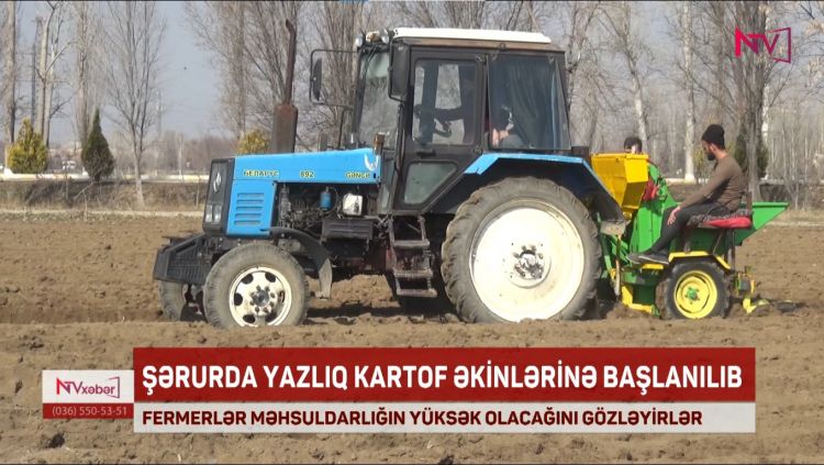 ŞƏRURDA YAZLIQ KARTOF ƏKİNLƏRİNƏ BAŞLANILIB<font color=red> - VİDEO</font>