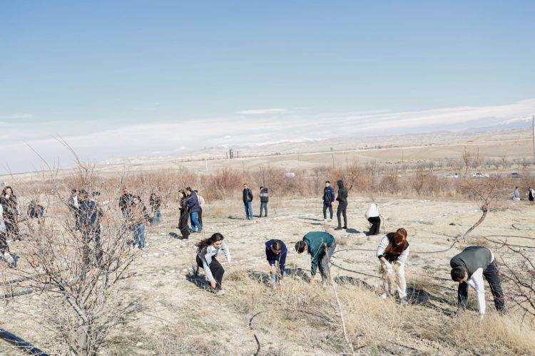 Naxçıvanda ağacəkmə və təmizlik aksiyaları keçirilib<font color=red> - FOTOLAR</font>