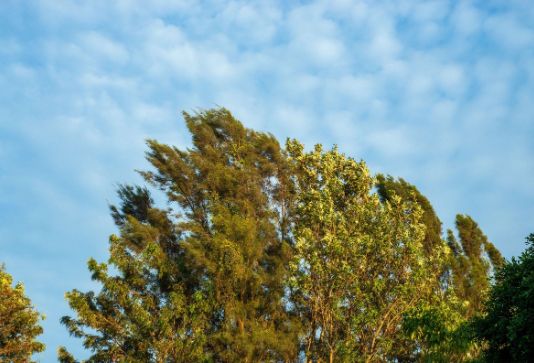 Küləkli hava şəraiti ilə bağlı sarı və narıncı xəbərdarlıq verilib