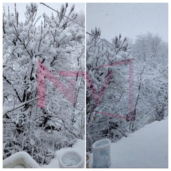 Naxçıvanın dağlıq ərazilərinə qar yağır