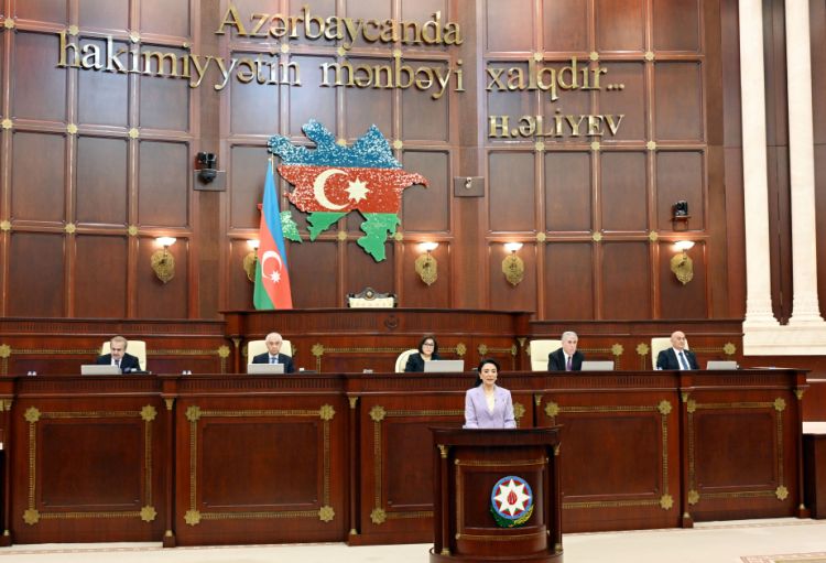 Parlamentdə ombudsmanın ölkədə insan hüquqlarının qorunması haqqında illik məruzəsi dinlənilib