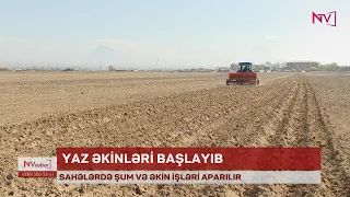 NAXÇIVANDA YAZ ƏKİNLƏRİ BAŞLAYIB<font color=red> - VİDEO</font>