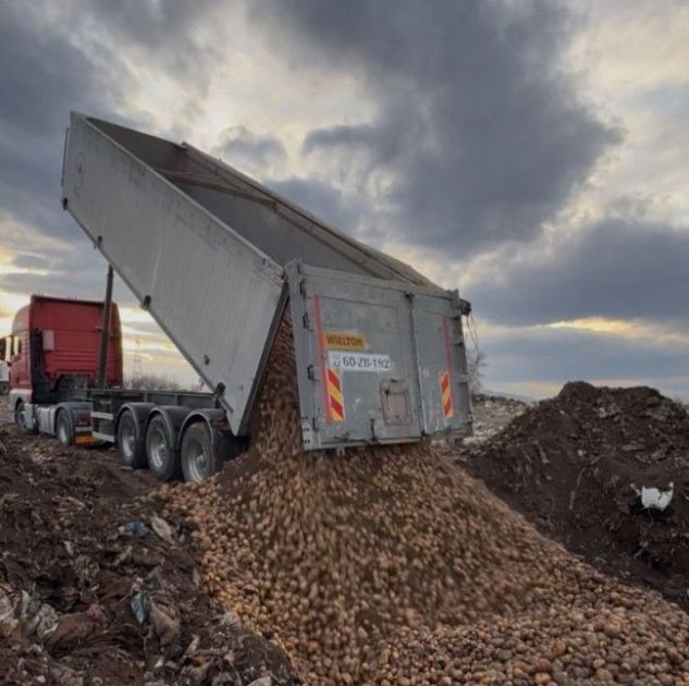 Gürcüstandan və Türkiyədən idxal olunan toxumluq kartof məhv edilib<font color=red> - FOTOLAR</font>