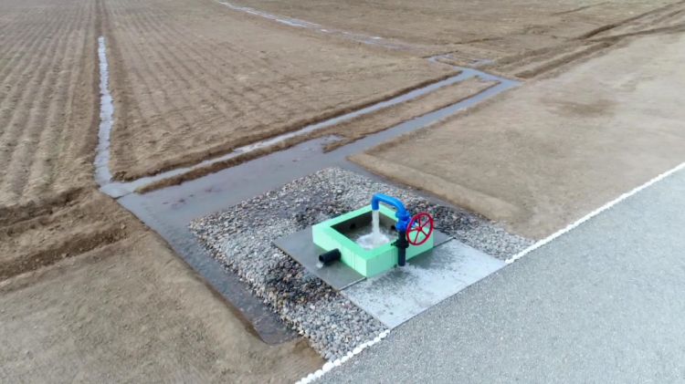 Naxçıvanda 1128 hektar ərazidə yazlıq əkinlər aparılıb<font color=red> - FOTOLAR</font>