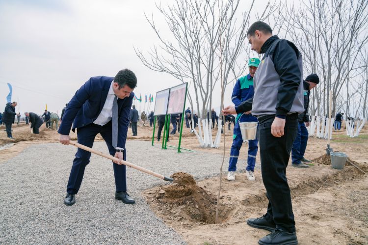 Naxçıvanda “Şəhərsalma və Memarlıq İli” çərçivəsində ağacəkmə aksiyası keçirilib<font color=red> - FOTOLAR</font>
