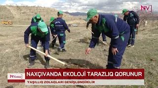 NAXÇIVANDA YAŞILLIQ ZOLAQLARI GENİŞLƏNDİRİLİR<font color=red> - VİDEO</font>