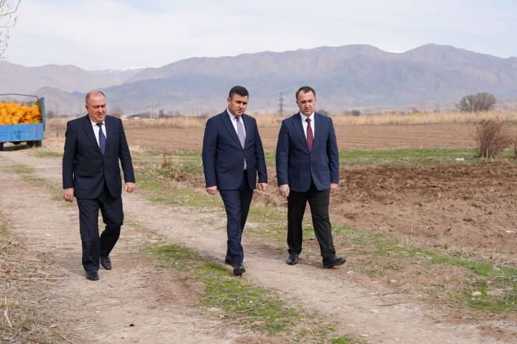 Səlahiyyətli nümayəndə Ceyhun Cəlilov Şərurda torpaq mülkiyyətçiləri ilə görüşüb, kartof əkini ilə tanış olub<font color=red> - FOTOLAR</font>