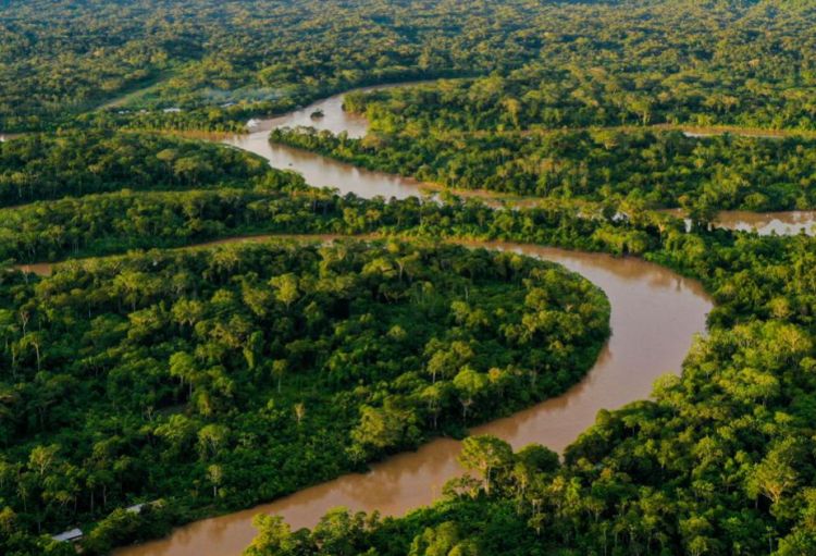 Bu gün Beynəlxalq Meşələr Günüdür