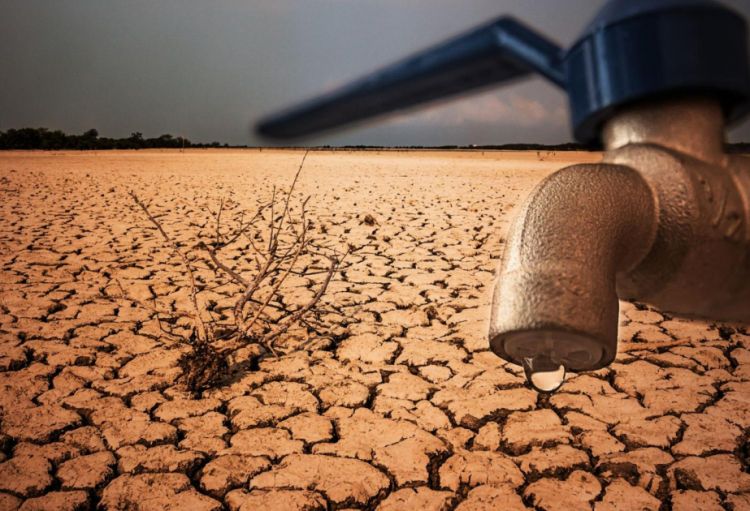 Yer rekord həcmdə istilik udur: “Euractiv” nəşrinin icmalı