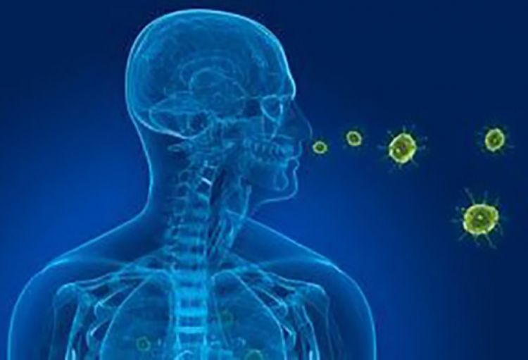 Brüsseldə vərəm halları ölkə üzrə orta göstəricini üç dəfə üstələyir