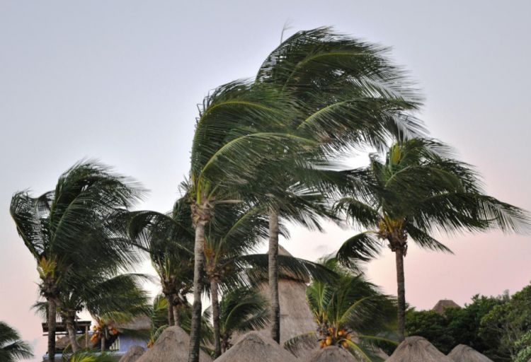 Qasırğa Omana ciddi ziyan vurub