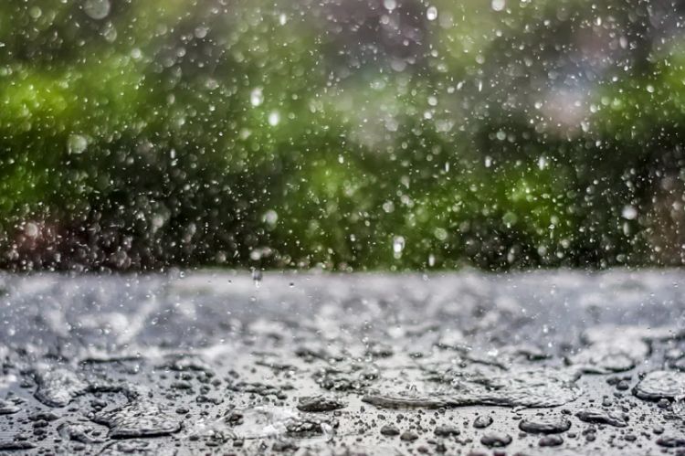 Naxçıvanda ən çox yağıntı Parağaçaya düşüb