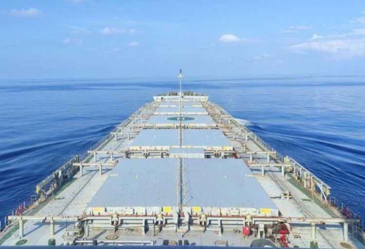 Qlobal ərzaq təchizatı təhlükə altındadır