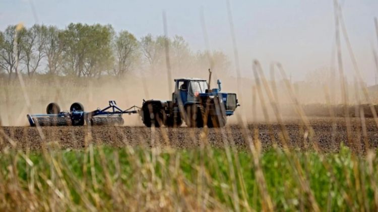 Azərbaycanda payızlıq əkinlərə görə subsidiya alanların sayı 278 minə çatıb