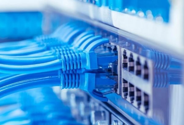 Azərbaycandakı internet trafikində botların payı bir ayda 70 % artıb