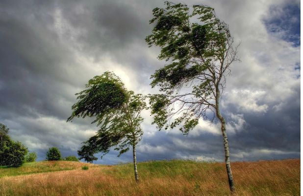 Bakıda və bölgələrdə külək güclənəcək
