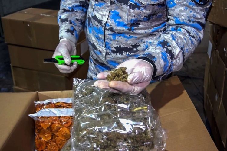 “Qarışıq meyvə qurusu” yükündə 112 kiloqramdan artıq narkotik vasitə aşkarlanıb