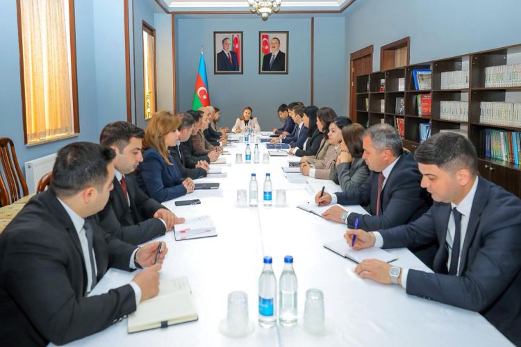 Hökumətin hesabatının Ali Məclisin komitə iclaslarında müzakirəsi başa çatıb