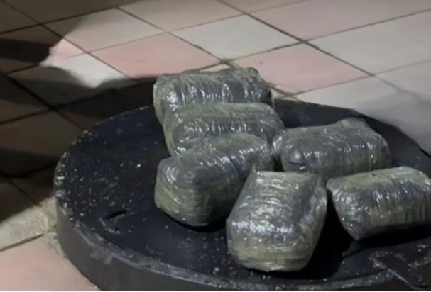 Baş idarə əməliyyat keçirib, 43 kq narkotik dövriyyədən çıxarılıb