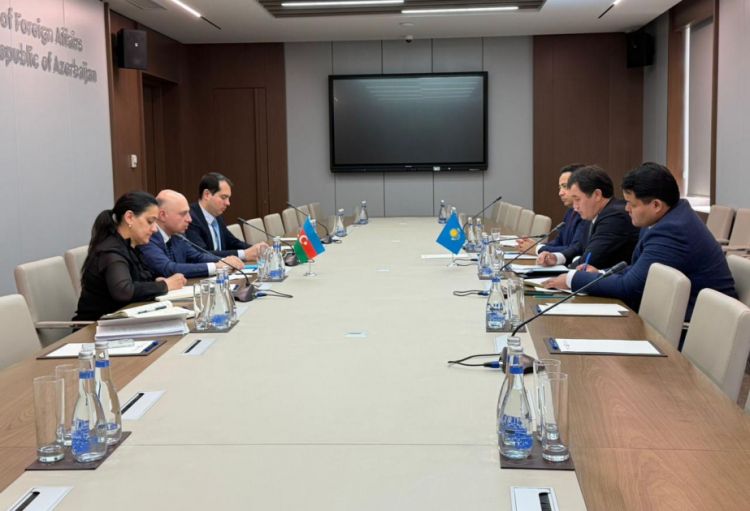 TDT-yə üzv dövlətlərin hökumət başçılarının/Vitse-prezidentinin ikinci görüşü yüksək qiymətləndirilib