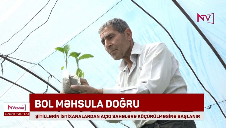 ŞİTİLLƏRİN İSTİXANALARDAN AÇIQ SAHƏLƏRƏ KÖÇÜRÜLMƏSİNƏ BAŞLANILIB<font color=red> - VİDEO</font>