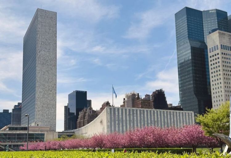 BMT 40 min mandatın nəzərdən keçirilməsinə başlayır