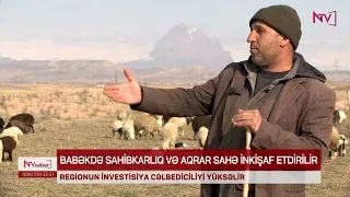 BABƏKDƏ SAHİBKARLIQ VƏ AQRAR SAHƏ İNKİŞAF ETDİRİLİR<font color=red> - VİDEO</font>