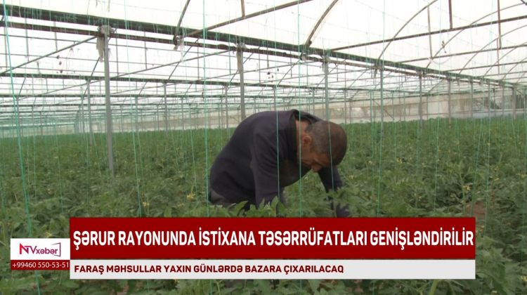 ŞƏRUR RAYONUNDA İSTİXANA TƏSƏRRÜFATLARI GENİŞLƏNDİRİLİR<font color=red> - VİDEO</font>