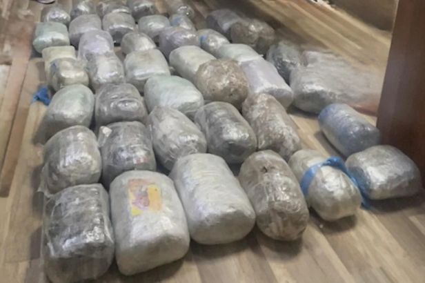 Qaradağda 42 kiloqram narkotik aşkarlanıb