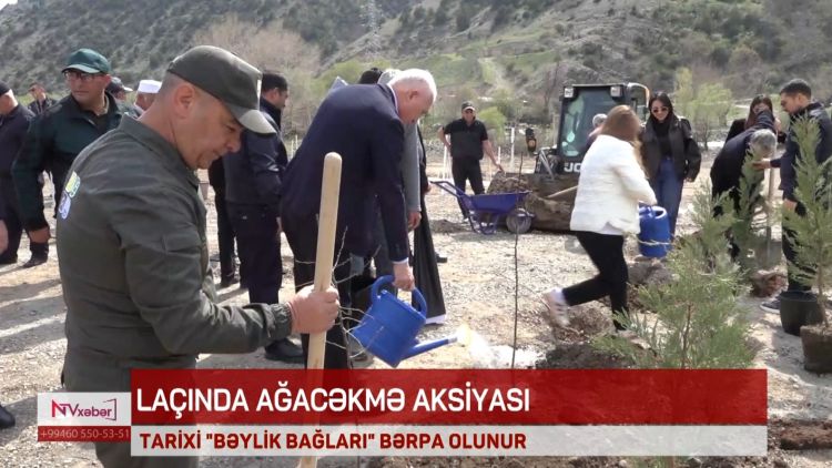 LAÇINDA TARİXİ "BƏYLİK BAĞLARI" BƏRPA OLUNUR<font color=red> - VİDEO</font>