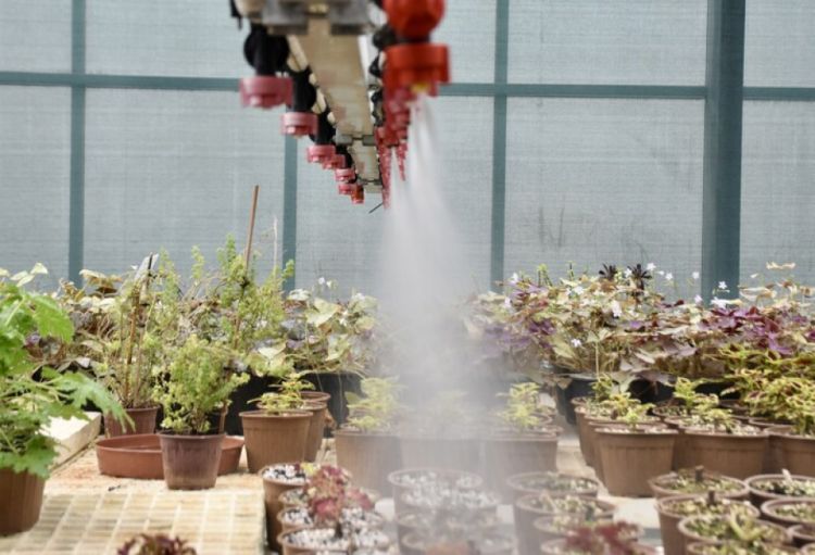 BMT-nin baş eksperti COP31-də əsas diqqəti su böhranına yönəltməyə çağırıb