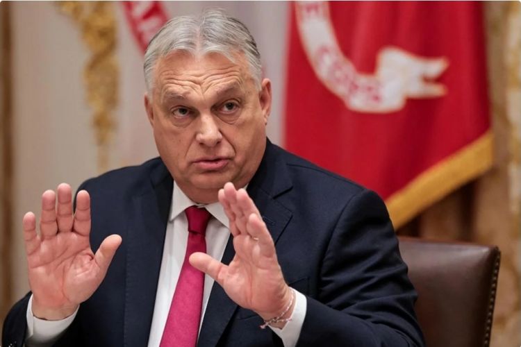 Orban parlament seçkilərində partiyasının məğlubiyyətini etiraf edib