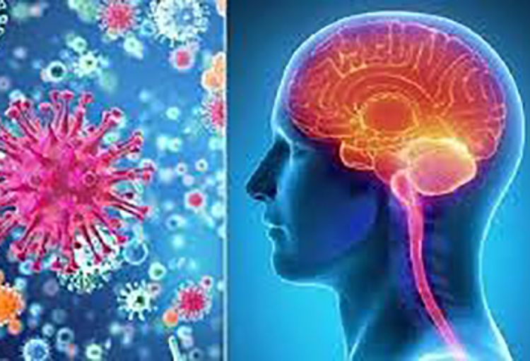 Vyetnamda meningokok xəstəliyinin yayılması ilə bağlı xəbərdarlıq edilib