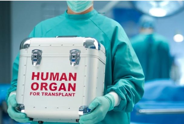 Azərbaycanda beyin ölümü keçirmiş 13 meyid donordan 73 orqan və toxuma transplantasiya edilib