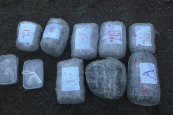 Bu ilin 3 ayı ərzində 76 milyon manatlıq narkotik dövriyyədən çıxarılıb