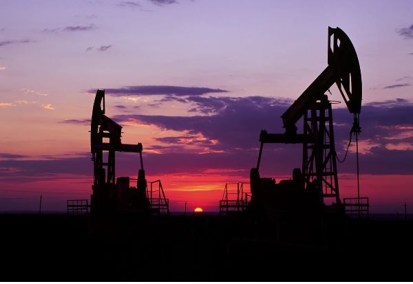 Azərbaycan ötən il Çexiyanın əsas neft tədarükçüsü olub