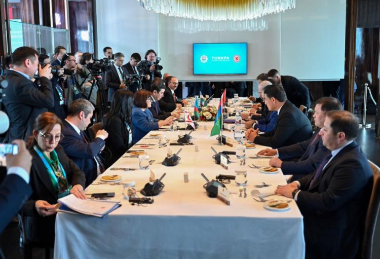 Milli Məclisin sədri Sahibə Qafarova Gürcüstan parlamentinin sədri ilə görüşüb