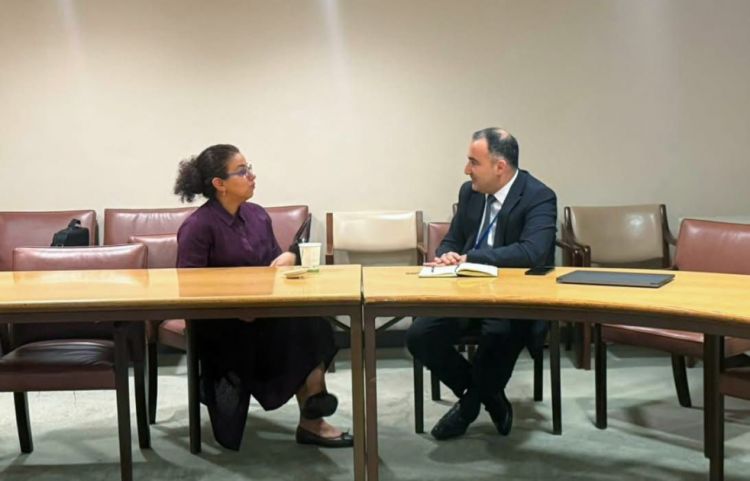 “ASAN xidmət” modeli Nyu-Yorkda diqqət mərkəzində<font color=red> - FOTOLAR</font>