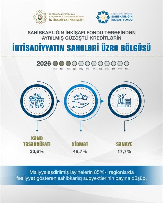 Sahibkarlığın İnkişafı Fondunun maliyyələşdirilmiş layihələrinin 85 faizi muxtar respublikanın regionlarının payına düşüb