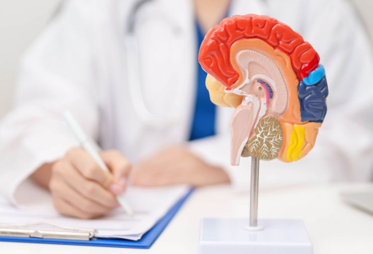 Yeni preparat insult riskini azaldır