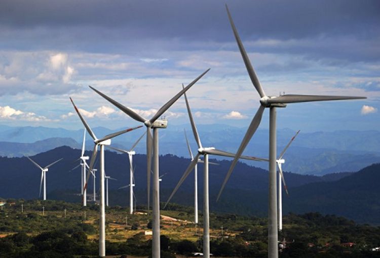 Qlobal külək enerjisi quraşdırılma gücü rekord səviyyədə artıb