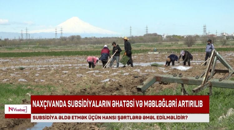 NAXÇIVANDA SUBSİDİYALARIN ƏHATƏSİ VƏ MƏBLƏĞİ ARTIRILIB<font color=red> - VİDEO</font>