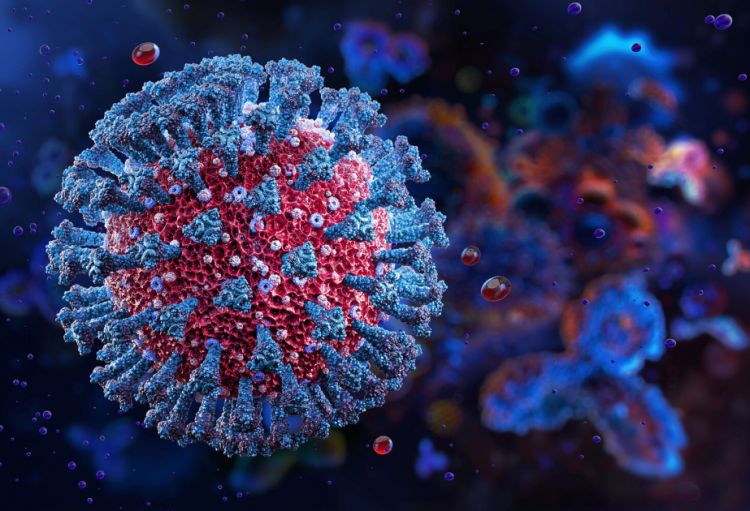 Alimlər koronavirusların hüceyrələrə yeni nüfuz etmə mexanizmini aşkar ediblər