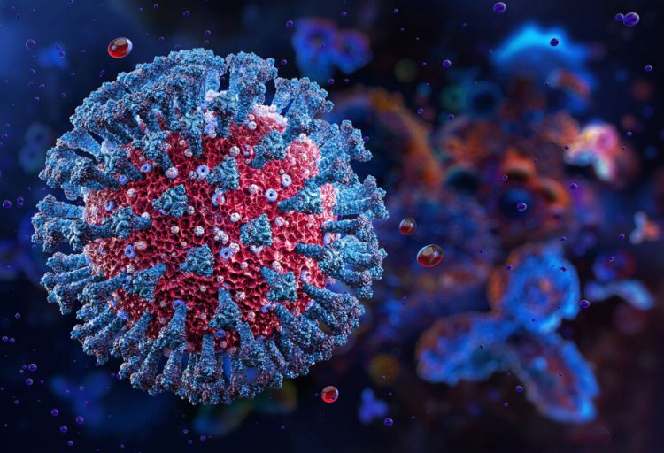 Tədqiqat: Koronavirus infeksiyası insan hüceyrələrinə yeni üsulla daxil ola bilir